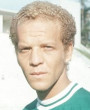ademir da guia