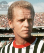 ademir da guia