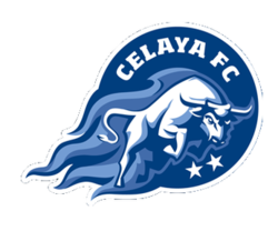 celaya ( 2 gols )