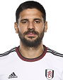 mitrovic