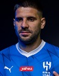 mitrovic