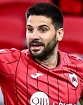 mitrovic