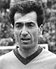 nestoridis