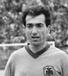 nestoridis