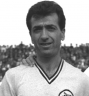 nestoridis