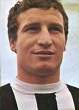stavros sarafis