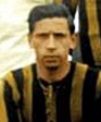 terevinto