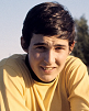 tom lund