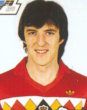 van der elst
