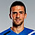 vedad ibisevic