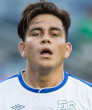 zelaya