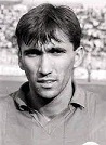 zlatko_vujovic