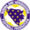 b�snia herzegovina ( 75 gols )