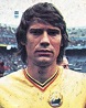 dudu georgescu