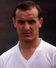 ferenc bene
