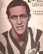 heleno de freitas