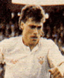 polster