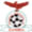 z�mbia ( 15 gols )